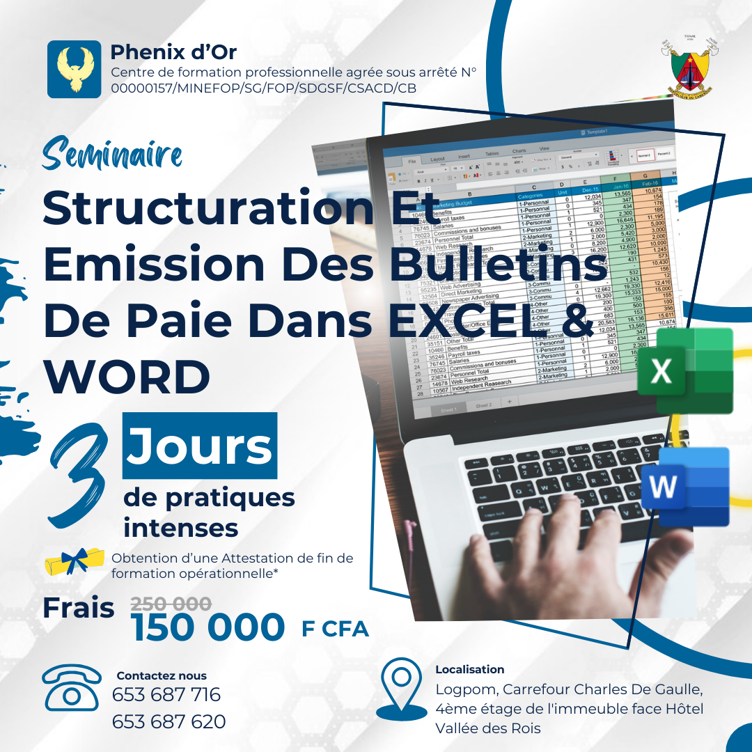 Flyer de la formation: Structuration Et Emission Des Bulletins De Paie Dans Excel & Word